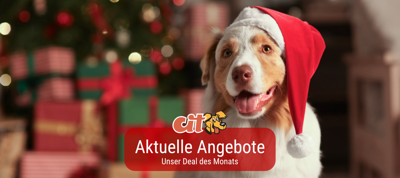 Deal des Monats
