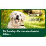 Christopherus (Ausverkaufs-Aktion) 25% Rabatt