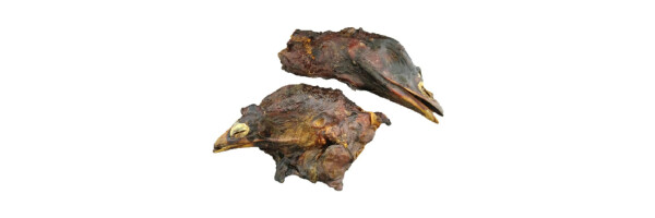 Putenkopf getrocknet