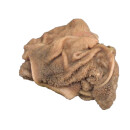 Lammpansen im Stück 1 kg