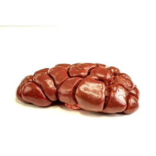 Rinderniere im Stück 1kg BARF Frostfutter