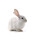 Kaninchen ganz mit Fell 1000 - 1500 g BARF Frostfutter