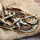 Stint 500 g getrocknet