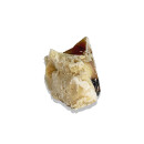 Kalbshufe gefüllt 10 Stück