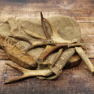 Rentiergeweihe getrocknet (250 g)