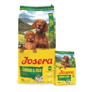 Josera Mother&Puppy Salmon & Rice