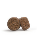 Green Petfood - Vitality - Insects & Duck 2 x 7,5 kg