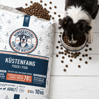 Hundefutterei - das Trockenfutter