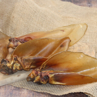 Rinderohren natur mit Muschel Indien 10 Stück getrocknet 