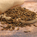 Soldatenfliegenlarven 500 g Frostfutter