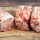 Kalbshaxe 1,5 - 1,8 kg BARF Frostfutter