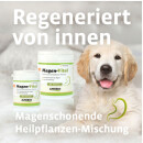 ANIBIO Magen Vital 440 g