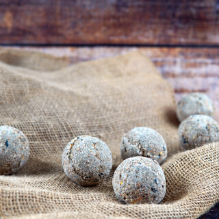 Meisenknödel 10 Stück