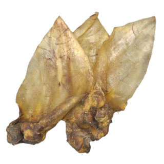 Rinderohr Natur mit Muschel aus Indien getr. 50 Stück