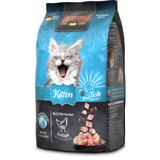LEONARDO® Kitten