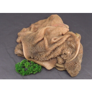 Lammpansen gewolft (1 kg)